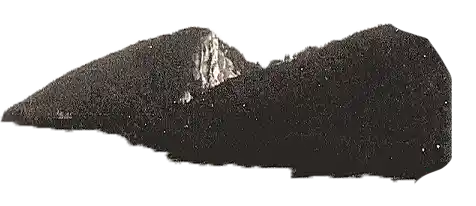 forêt droite