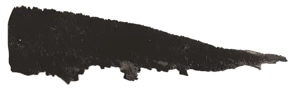 forêt gauche