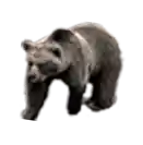 ours