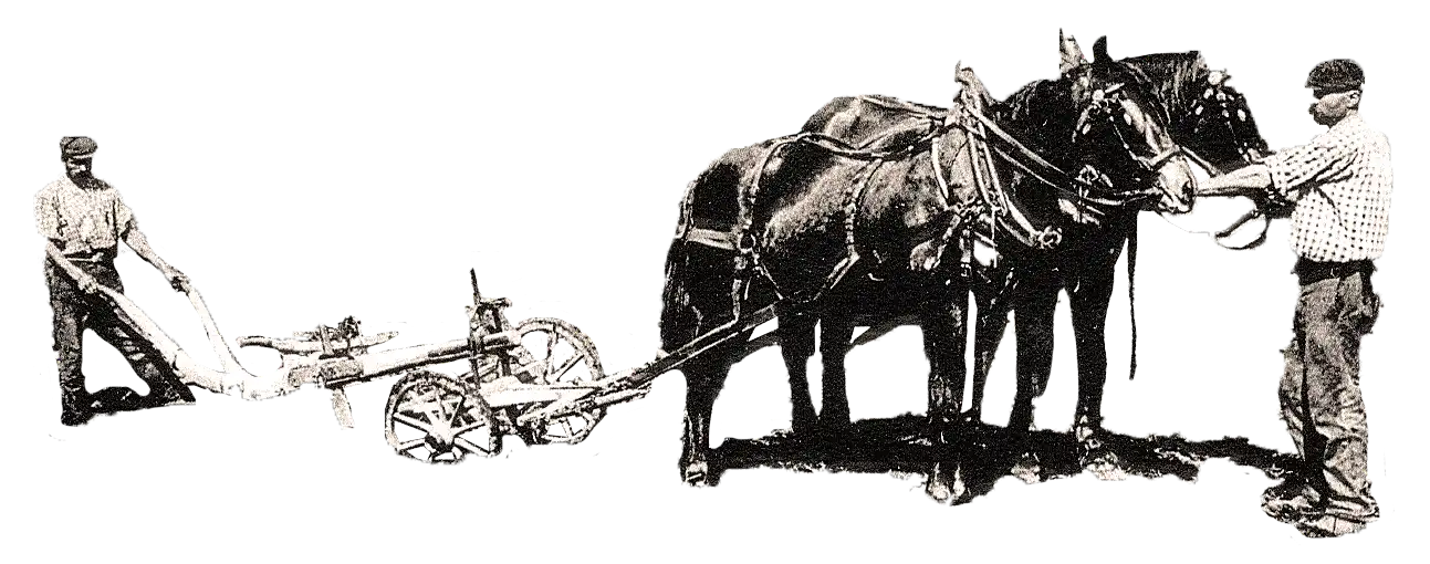 Homme cheval aux champs
